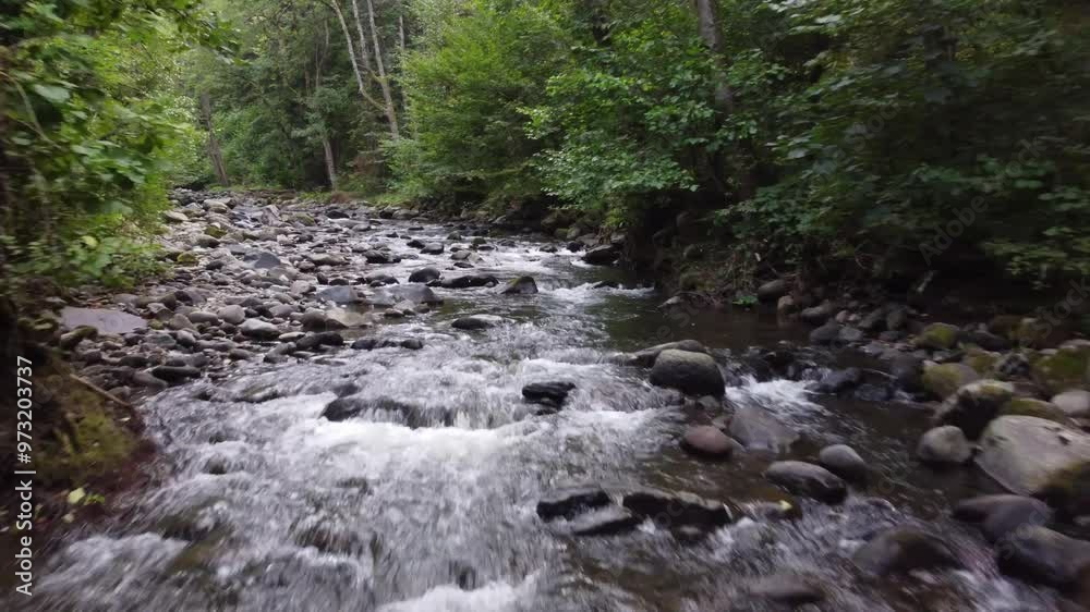 Drone flight over a beautiful river in the pine forestry of Borjomi, Georgia. Natural landscape with mineral water rivers flowing down the mountains. Drone flight over a beautiful river in the pine forestry of Borjomi, Georgia. Natural landscape with mineral water rivers flowing down the mountains.
