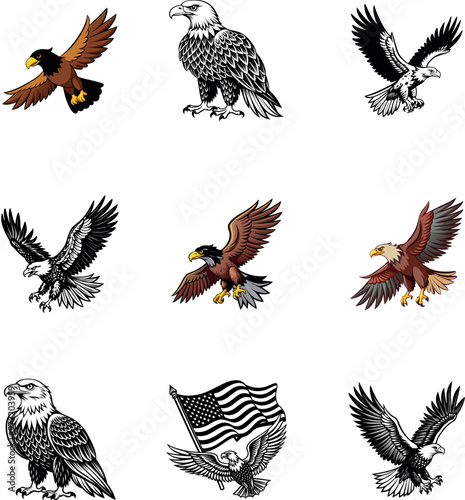 bald eagle black and illustration vector art