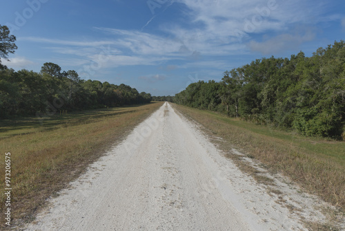 The Flatwoods Conservation Park City of Tampa Nature Conservation Area on of Floridas beautiful Nature Areas. Great for exercise, biking, hiking, running, jogging, bird watching. photo