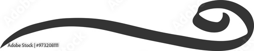 Fotografija Swoosh line and underline brush stroke