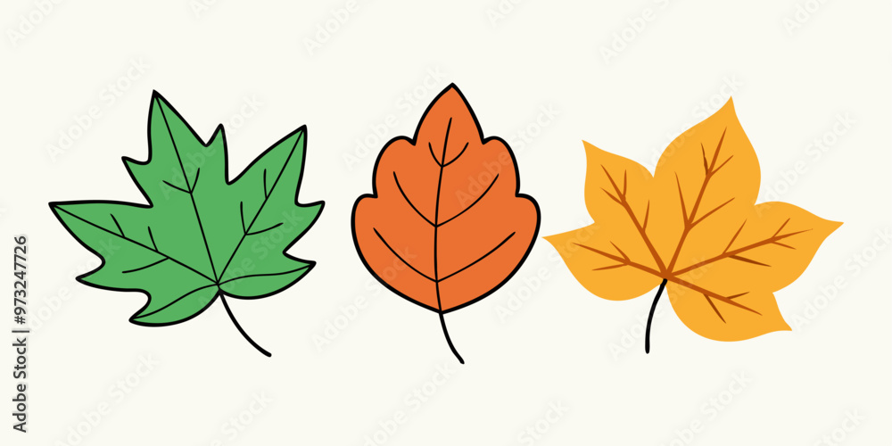 Fototapeta premium A set of three autumn leaves, each in a different color, representing the changing seasons. The leaves are drawn in a simple, cartoon style.