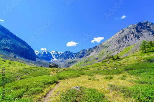 Quadro su tela beautiful image of a mountains