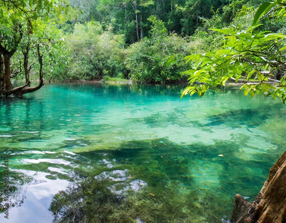 Naklejka premium Crystal clear lake nature background with depth of field for a refreshing and peaceful retreat