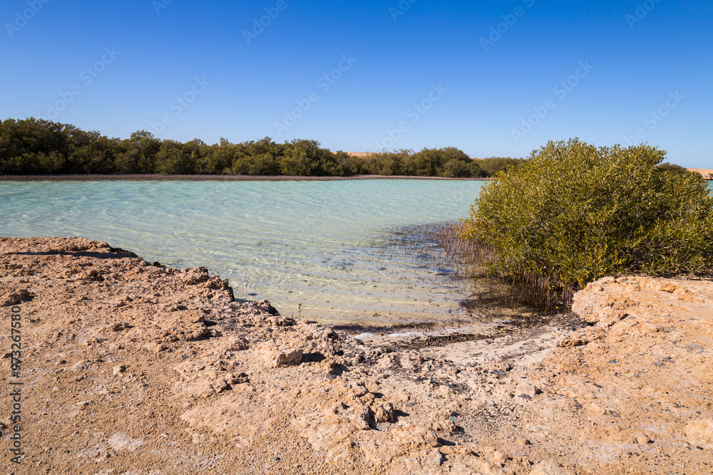 Ras Muhammad National Park in Egypt Ras Muhammad National Park in Egypt