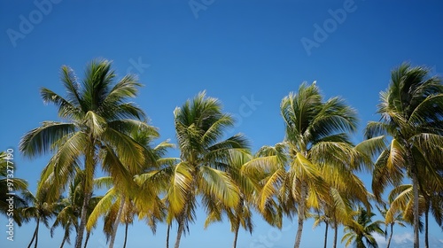A tranquil beach resort scene with palm trees swaying in the gentle breeze and a clear blue sky