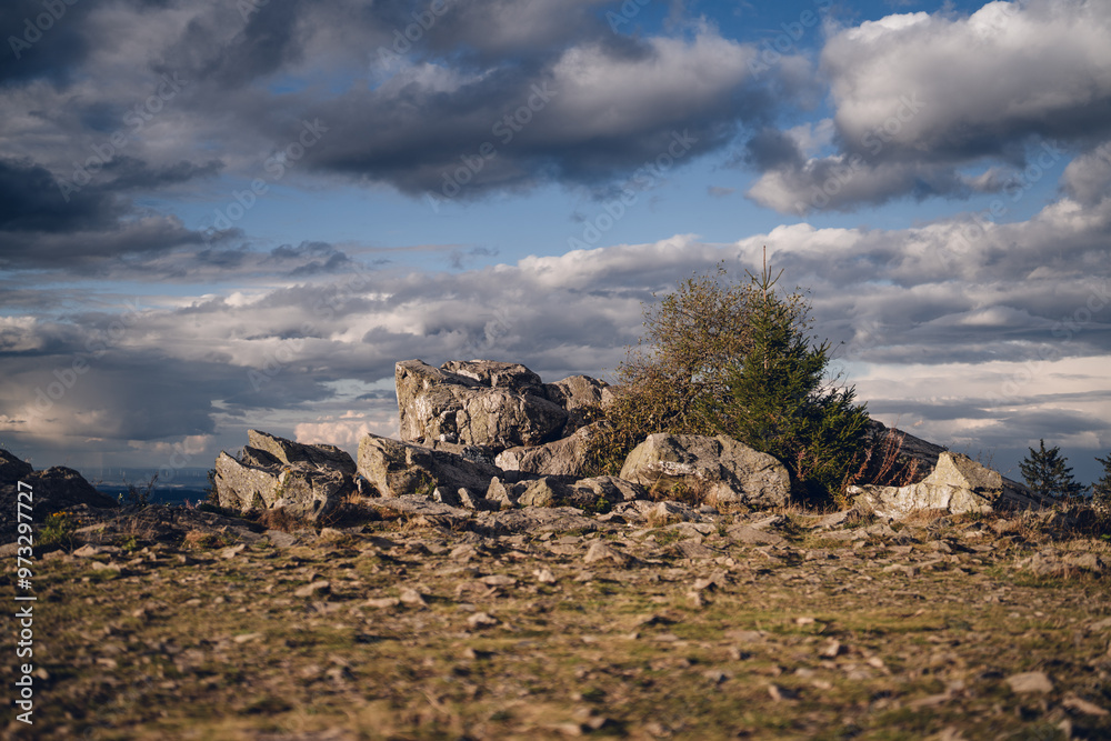 Brunhildisfelsen Großer Feldberg im Taunus