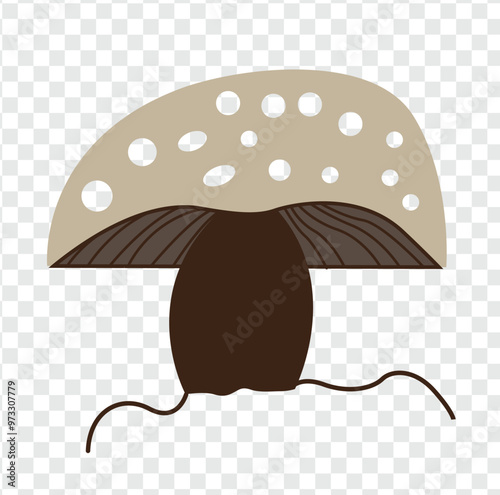 mushrooms in the place