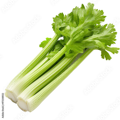 Fresh green celery stalks on a white background isolated transparent photo