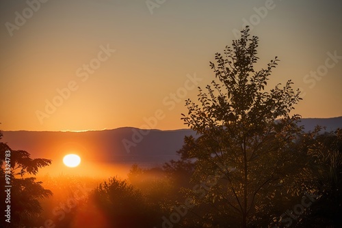 Captivating Afternoon Sunlight with Warm Tones and Enchanting Glow