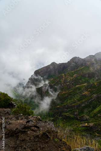 Mountains in the fog