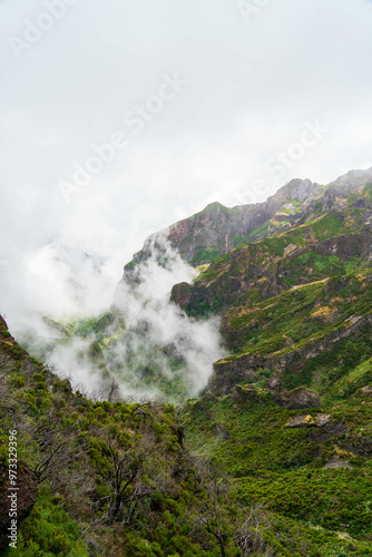 Mountains in the fog