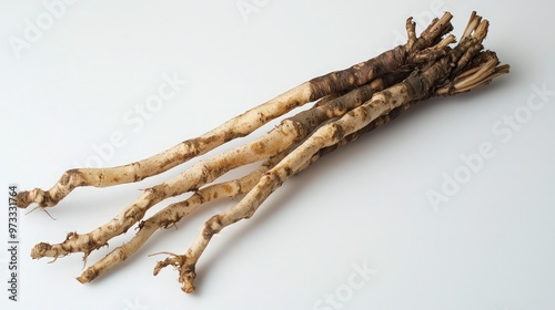 Devila??s claw root displayed on a white background, used in herbal medicine for treating conditions like arthritis and gout. photo