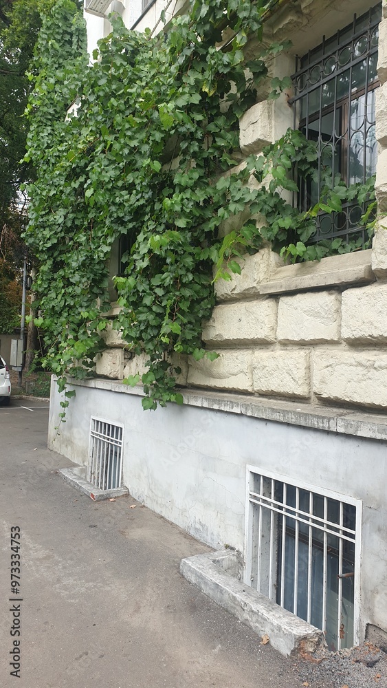 moldova, chisinau, textures, architecture, antiquity, city, street, houses, sidewalk, grass, plants, trees, shadow, monument, puddle moldova, chisinau, textures, architecture, antiquity, city, street, houses, sidewalk, grass, plants, trees, shadow, monument, puddle