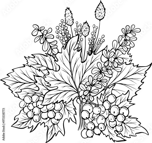 Autumn fallen leaves bouquet. Floral seasonal decor with leaves, branches, rowan berries. Vector illustration in hand drawn sketch style. Line art isolated on white for coloring book, print