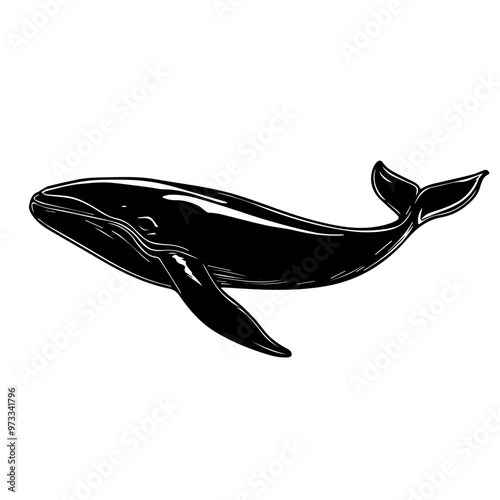 Whale Vector photo