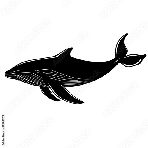 Whale Vector photo