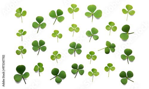 Collection set of green lucky clover and shamrock on a transparent background 