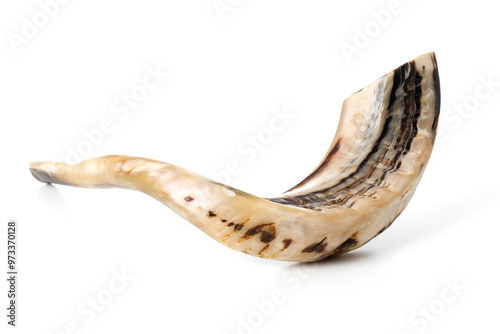 Shofar (horn) on white background. Rosh Hashanah.Yom Kippur Traditional symbol of the Jewish holiday.