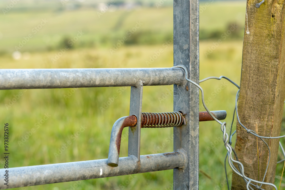 Metal farm field gate with rusty bold secured to wooden post with twisted wire Metal farm field gate with rusty bold secured to wooden post with twisted wire