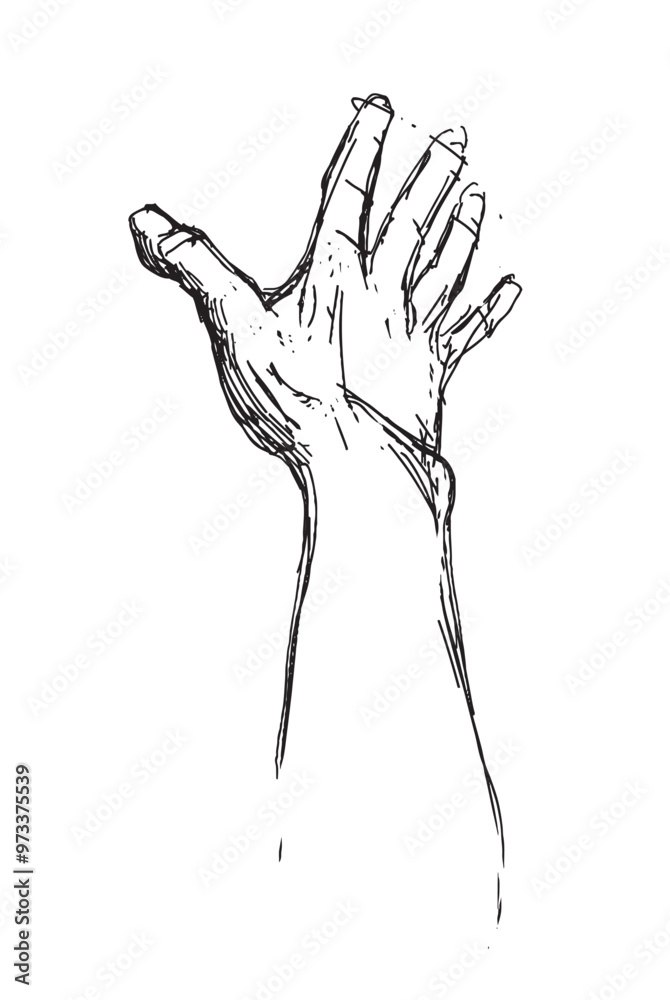 Hand drawn gestures. Pointer finger, strong fist and punch. Handshake, thumb up like and triumph victory gesture sketch vector illustration set. Engraved hand signals and signs for communication Hand drawn gestures. Pointer finger, strong fist and punch. Handshake, thumb up like and triumph victory gesture sketch vector illustration set. Engraved hand signals and signs for communication