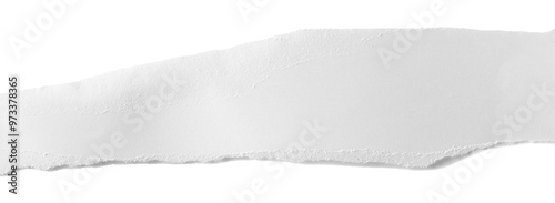 Ripped white paper scrap isolated, clipping path