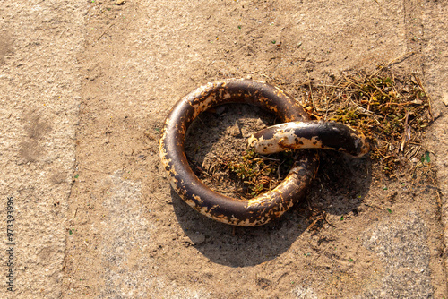 Old and rusty mooring ring for ships fixing. Dock for small boats. Summer day hard sunlight. Close-up view