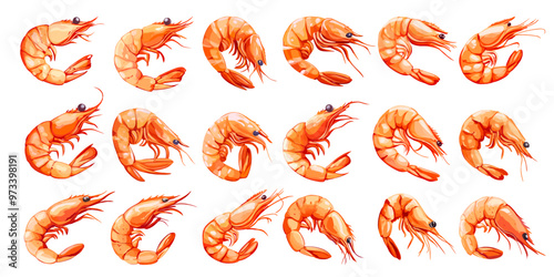 Cartoon shrimps. Shrimp seafood mascot, red cute sea swimming animal prawn crustacean, set vector illustration