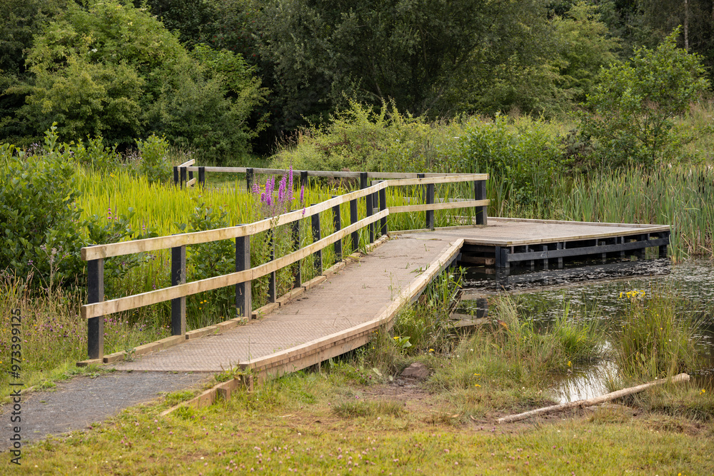 Wildlife and nature viewing platform and wooden boardwalk path beside freshwater pond or lake
