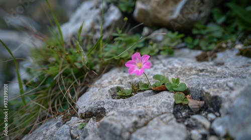 Small flower looks lovely