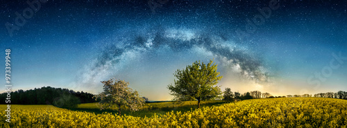Φωτογραφία The Milky Way creating an arch shape above tree on a blossoming yellow canola fi