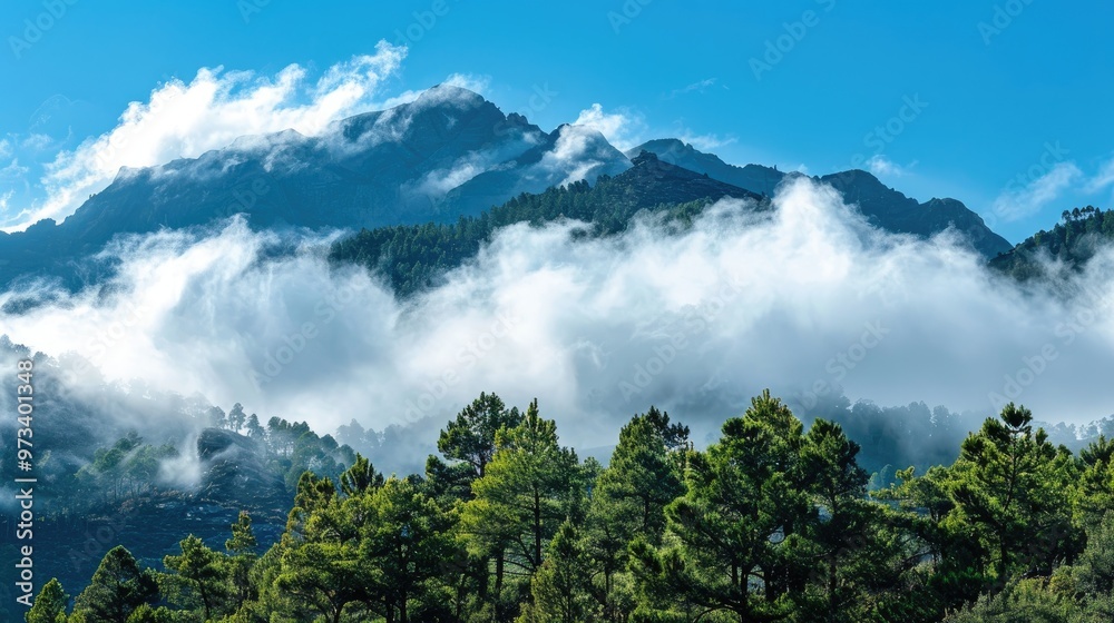 Naklejka premium Sky landscape over mountain peak with low white clouds among trees