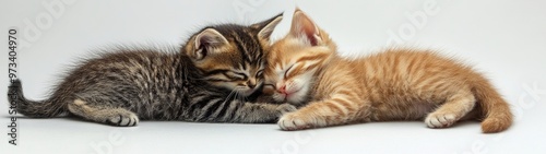 Playful Kittens in a Wrestling Match, a lively scene featuring adorable kittens engaging in playful combat against a pristine white backdrop, showcasing their energy and charm.