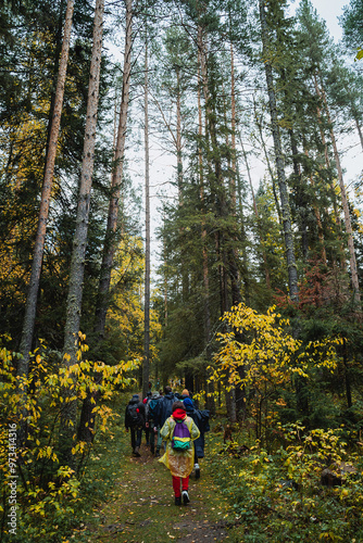 A group of enthusiastic hikers is walking through a vibrant and colorful autumn forest path that is surrounded by tall majestic trees