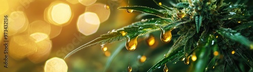 Panel kuchenny z motywem Lush cannabis background with several small amber-colored e liquid juice drops on it