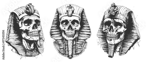 Pharaoh skull sketches. Egypt pharaohs skulls face tattoo sketch, egyptian civilisation dead king skeleton head vintage pencil drawing history person retro art vector illustration