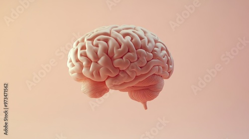 Illustration of a human brain against a light colored background designed to engage and educate children on science topics