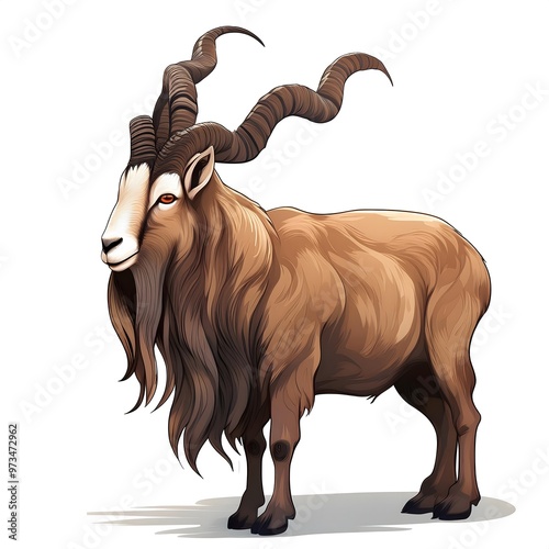 Markhor (Capra falconeri) mountain male goat full strong body golden brown colour side view realistic Markhoor HD image. asian, Pakistan,  isolated on a white background. Illustration, cartoonish. photo