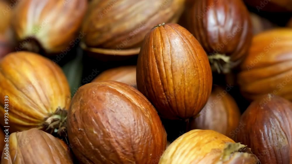 Close-up of hazelnuts with a rich brown shell, showcasing their smooth and textured exterior. Ideal for themes related to nuts, food, and natural snacks. Close-up of hazelnuts with a rich brown shell, showcasing their smooth and textured exterior. Ideal for themes related to nuts, food, and natural snacks.