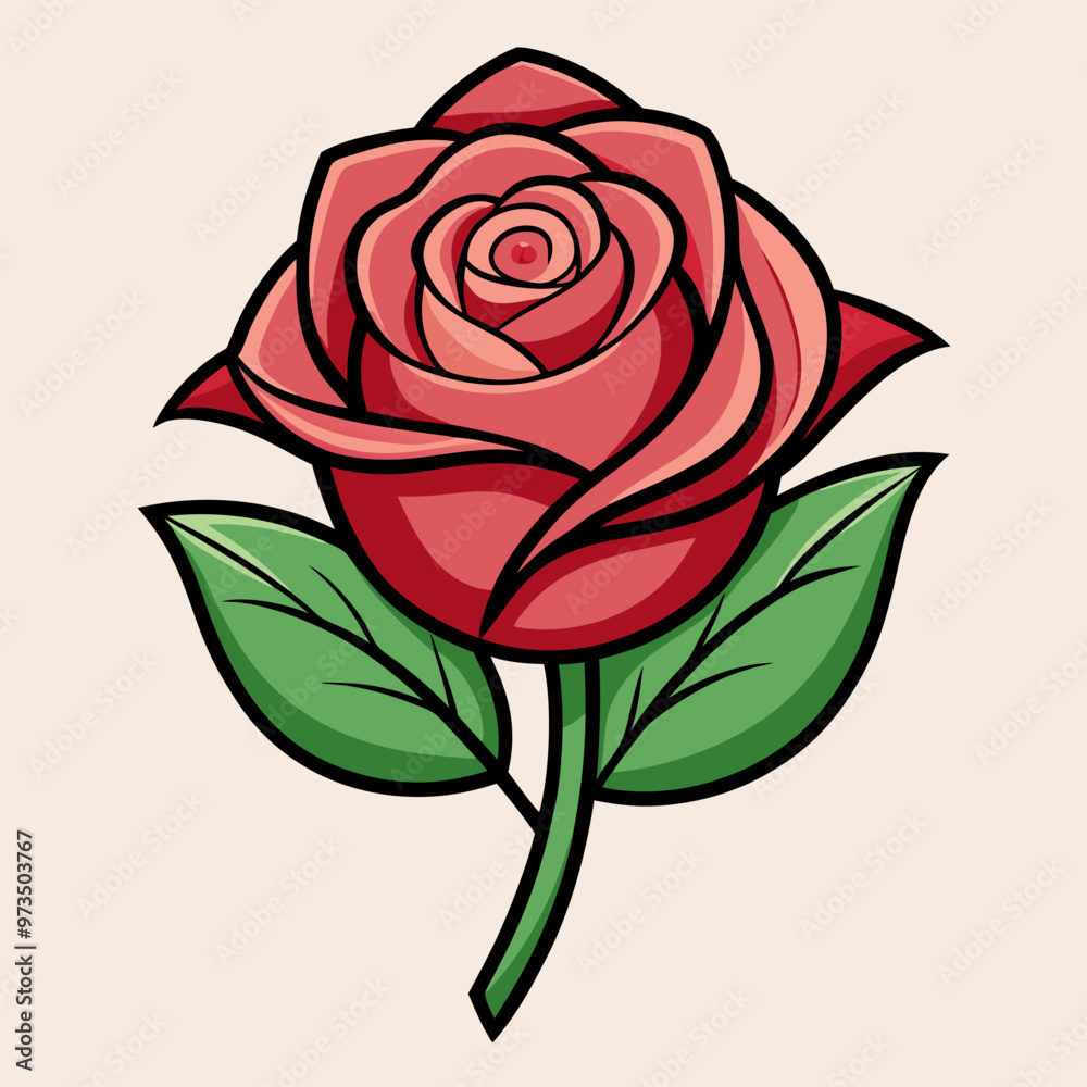 pink rose isolated pink rose isolated