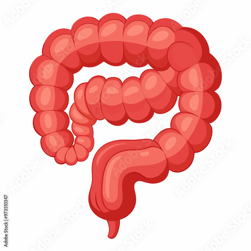 human-small-intestine