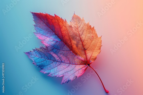 Exploring the vibrant network of veins in an autumn leaf against a colorful backdrop