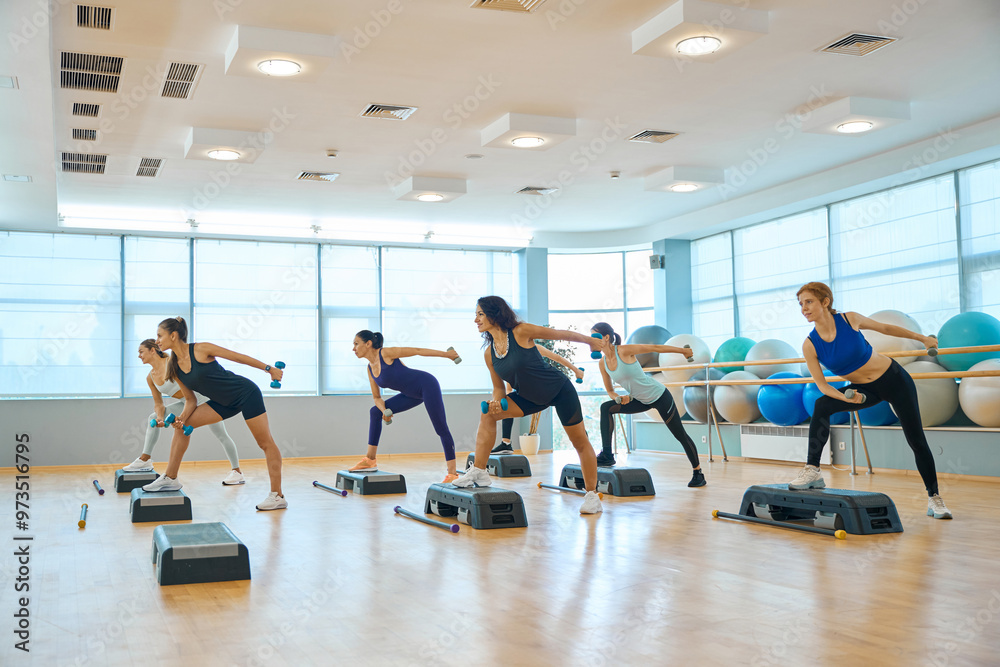 Fototapeta premium Group of women perform strength exercises with dumbbells