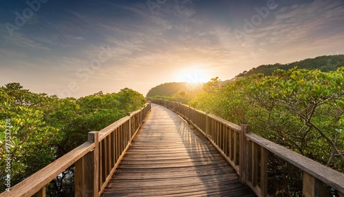 sunrise on mangrove plank road in shuidong bay maoming guangdong photo