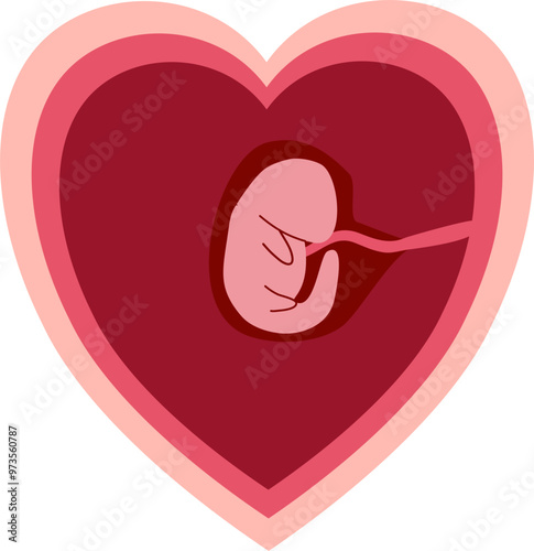 Human embryonic development