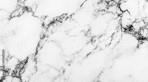 White marble texture with black veins.