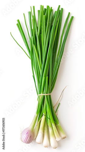 Onions or chives with stem on white background