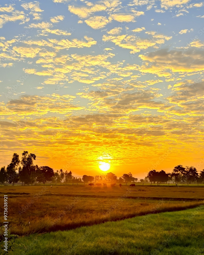 The sun's fiery kiss awakens the sleeping landscape. The sun's fiery kiss awakens the sleeping landscape.