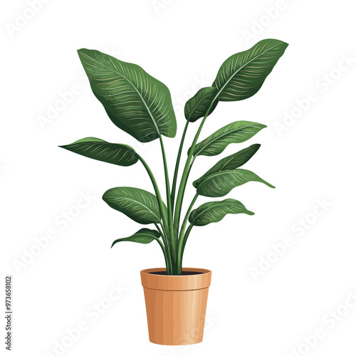 Illustration of a houseplant in a pot on a white background