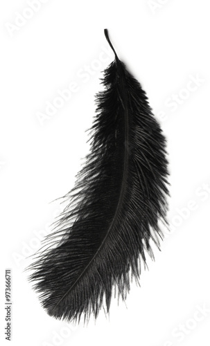 Beautiful black bird feather isolated on white, top view photo