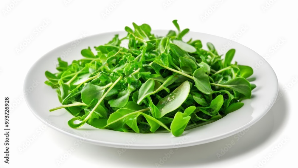 Fresh greens ready to be savored Fresh greens ready to be savored